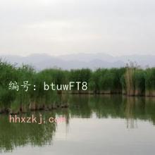 ʧ