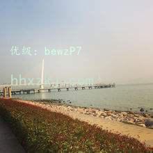ɹ