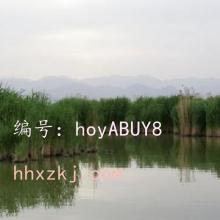 Ͻ